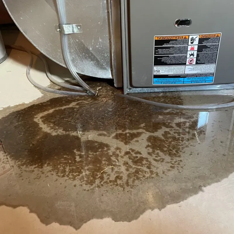 Pipe Burst and Leak Restoration in Harrisburg, AR