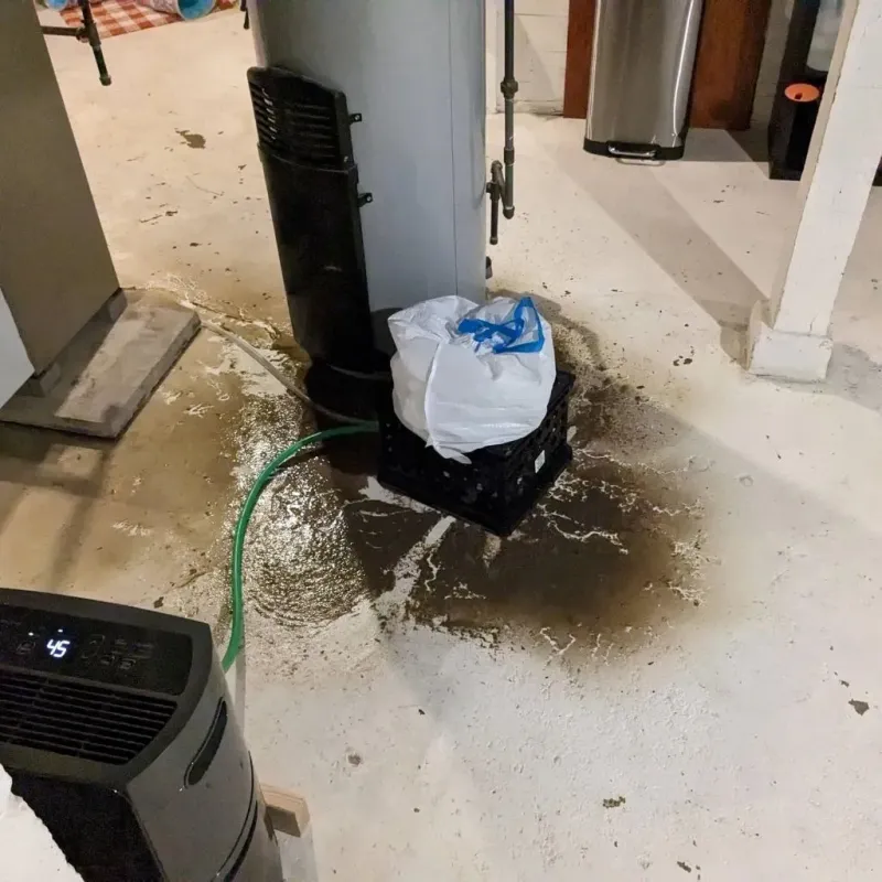 Sewage Backup Cleanup Service in Harrisburg, AR
